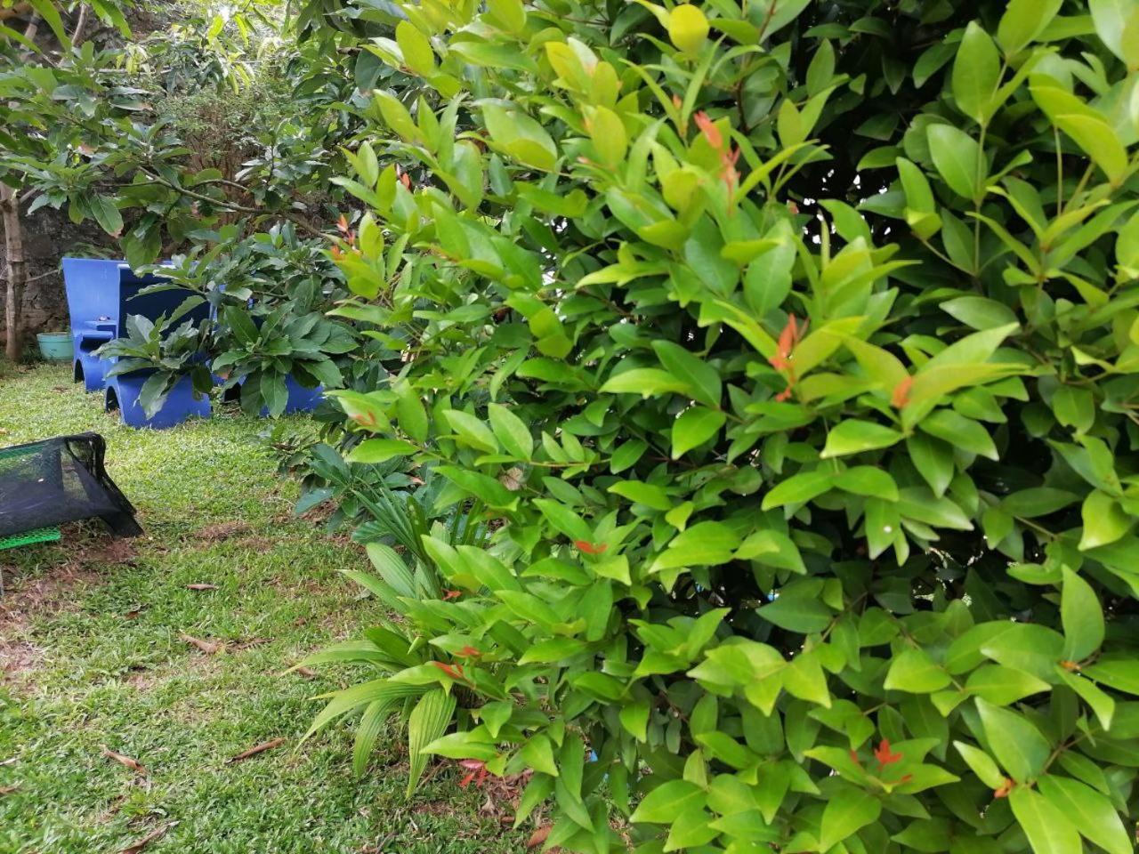 Hiriketiya Hasmal House Apartment ดิคเวลลา ภายนอก รูปภาพ